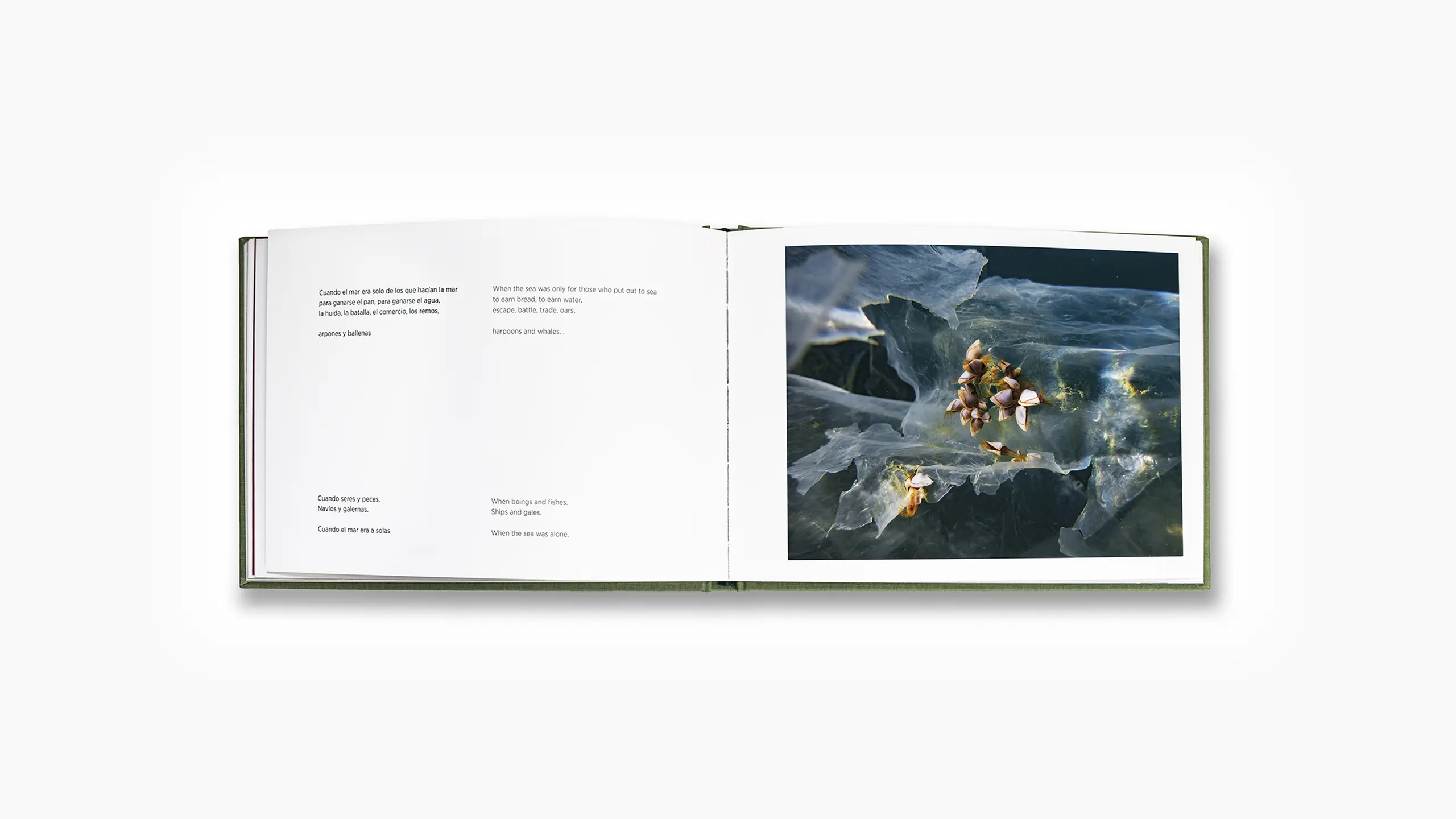 Océano plástico - Imagen 5