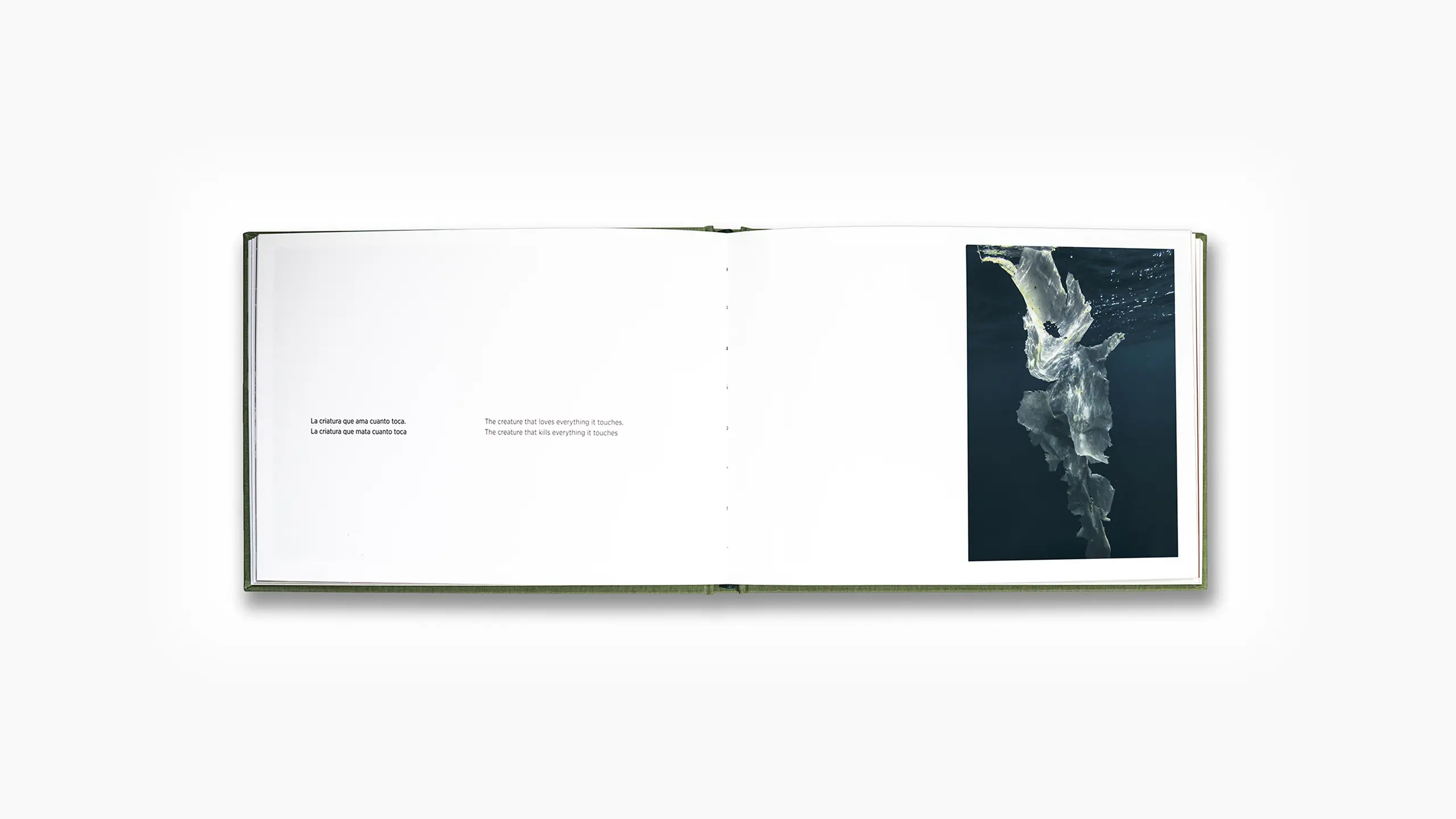 Océano plástico - Imagen 8