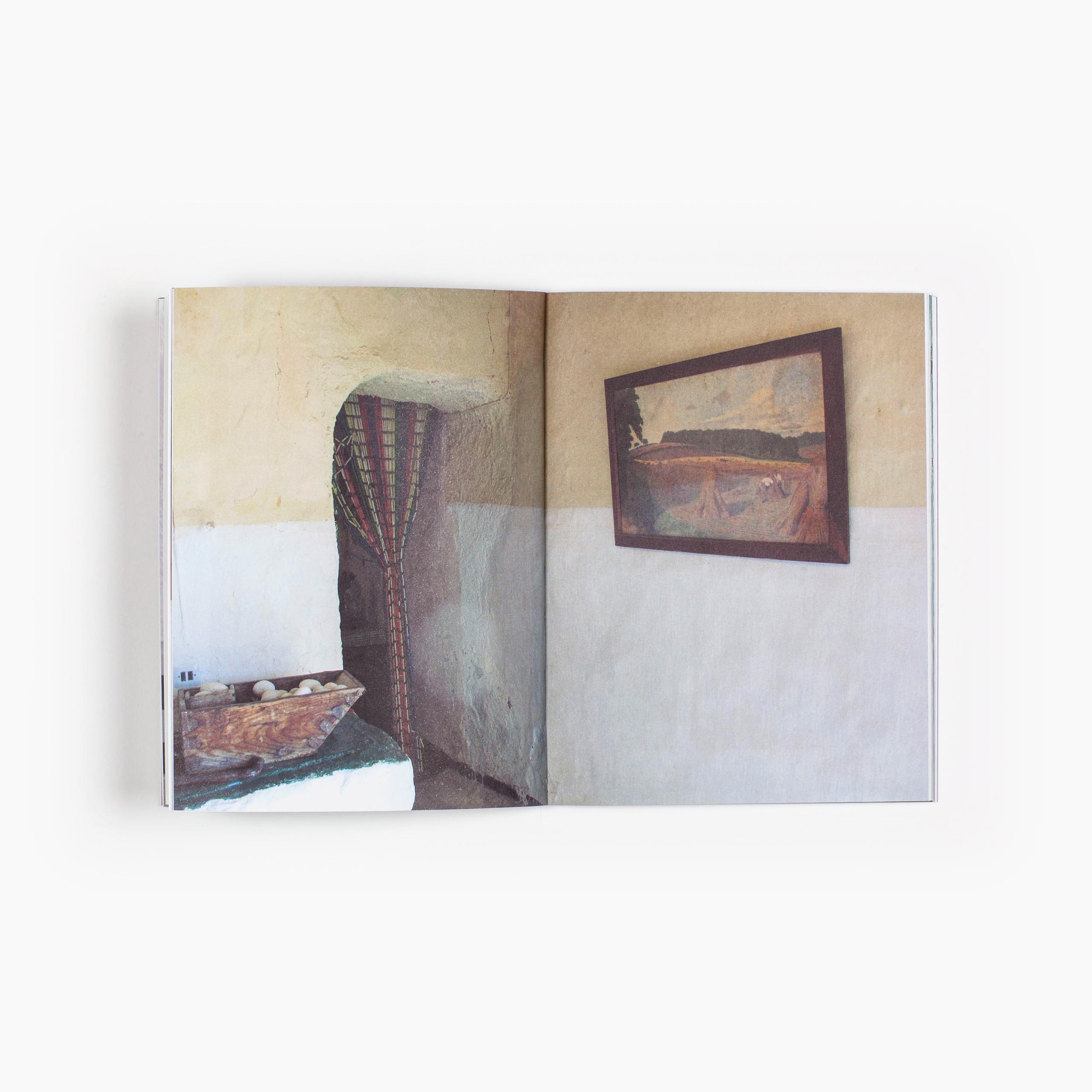 La Briseña - Imagen 2