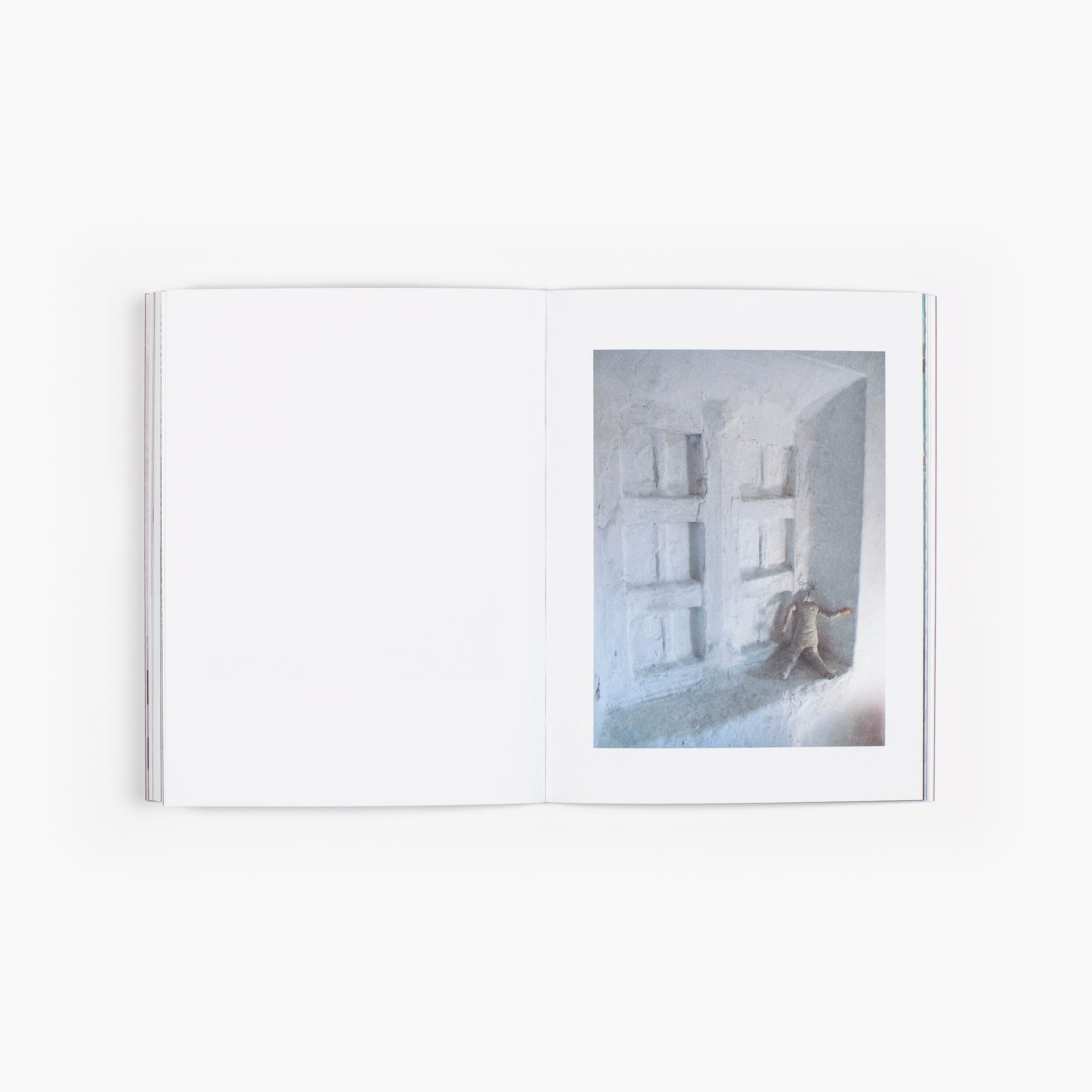 La Briseña - Imagen 4