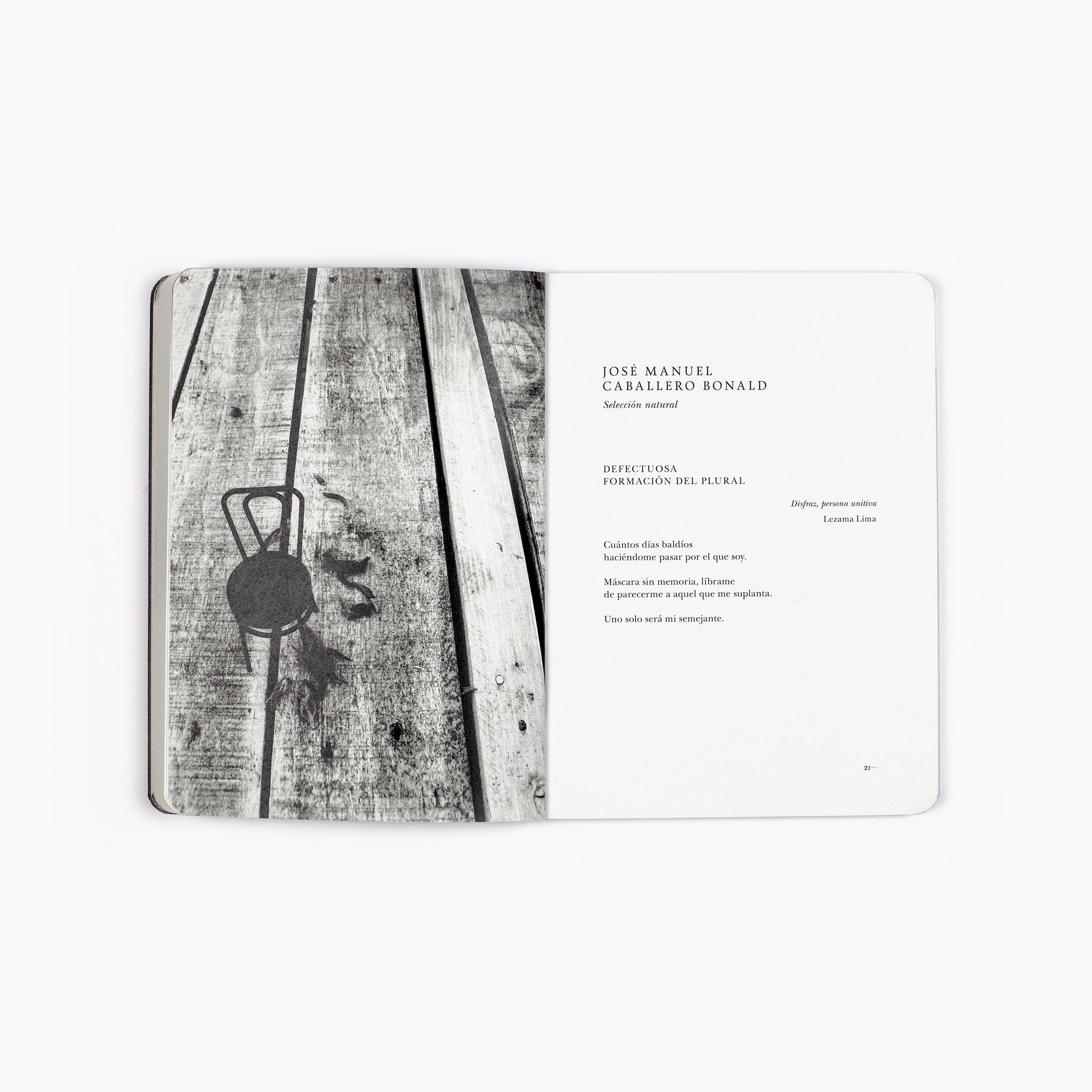 La verdad y su doble - Imagen 2