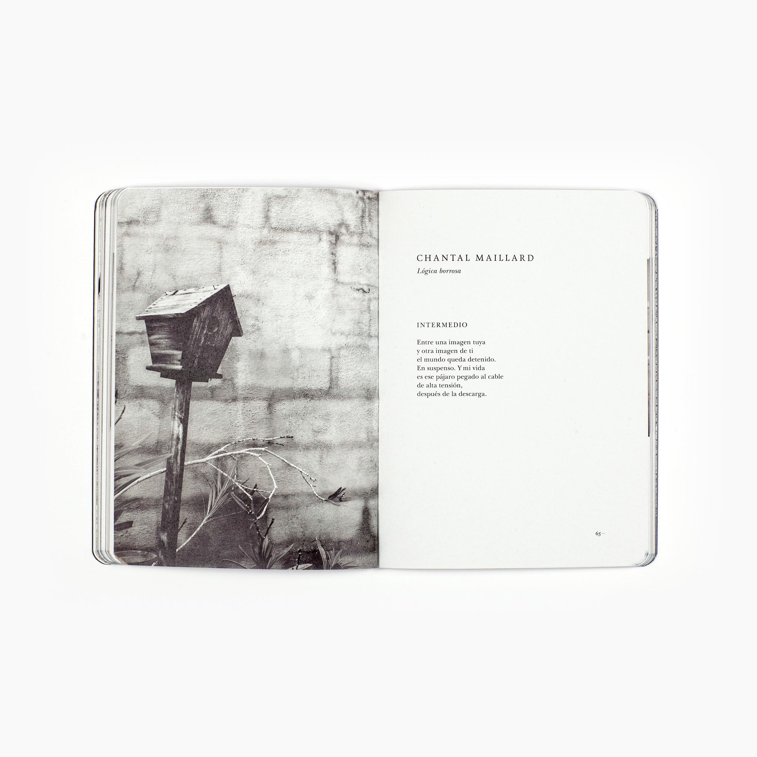 La verdad y su doble - Imagen 4